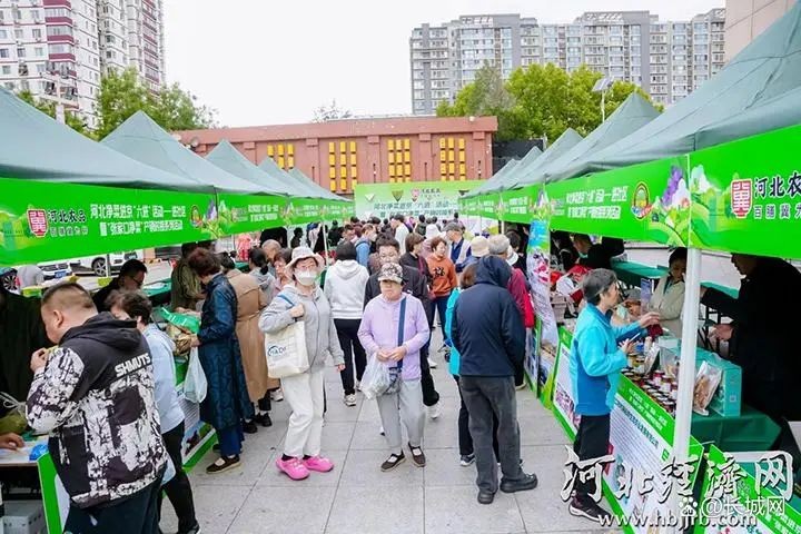 “河北净菜”进市场、进超市、进社区、进饭店、进食堂、进餐桌“六进”活动，提高“河北净菜”在北京市场占有率。河北省农业农村厅供图