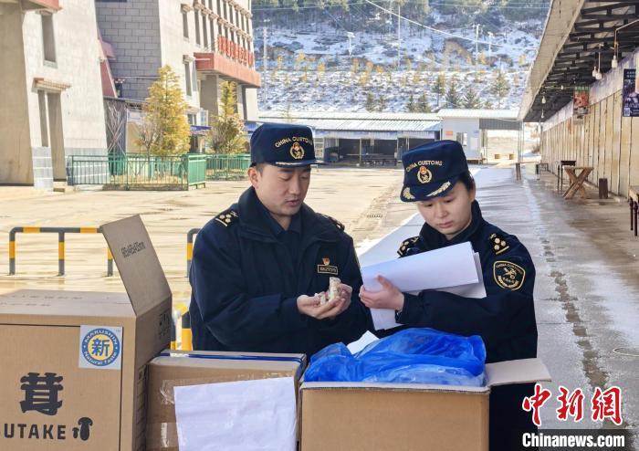 海关关员在香格里拉市食用菌出口企业开展现场监管。杨枭 摄