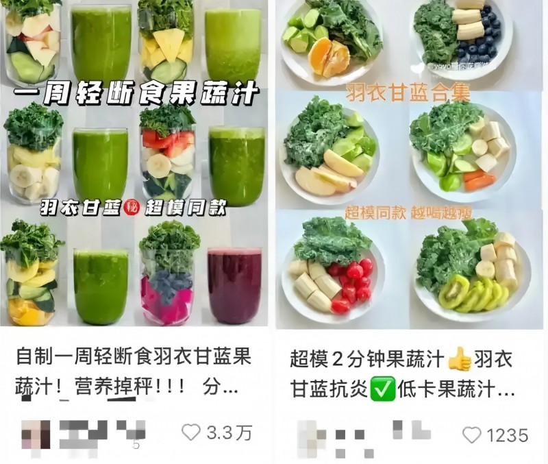 羽衣甘蓝食品.webp(1)