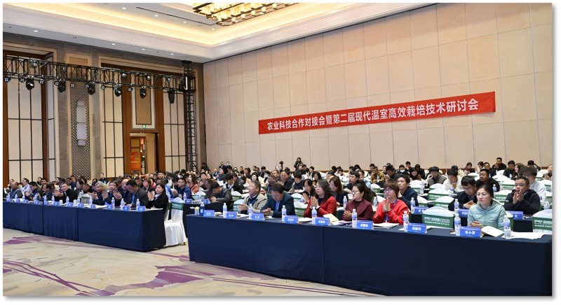 会议现场