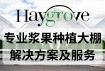 黑革萝