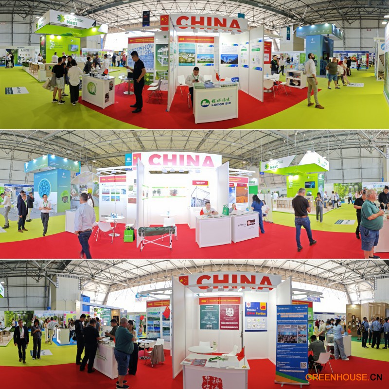 西班牙展会中国展团照片