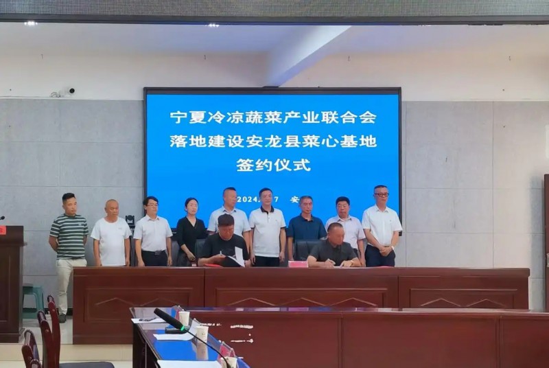 宁夏冷凉蔬菜产业联合会落地建设安龙县菜心基地签约仪式.webp