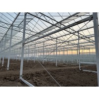 阳光板温室大棚