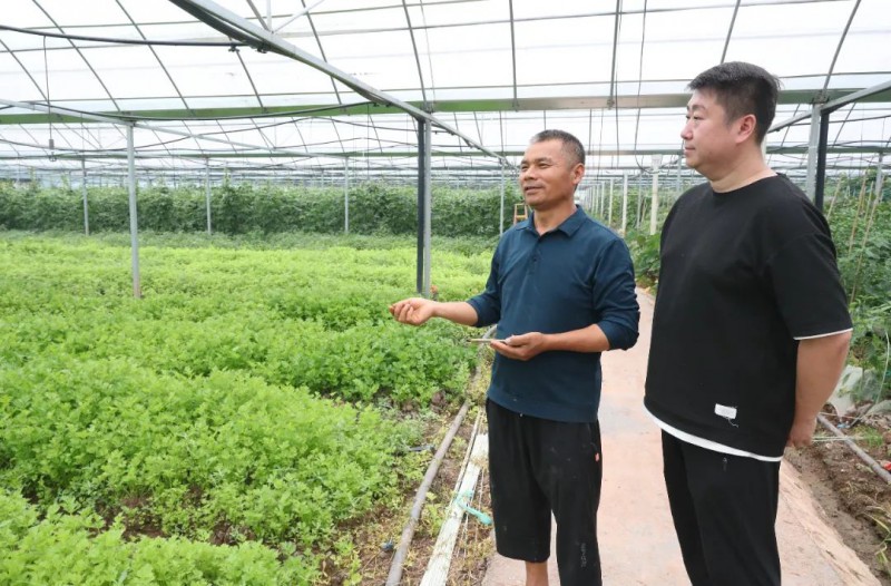 俯瞰沙坪坝区回龙坝镇的恒筑庄园8