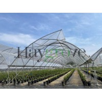 FTV尖峰通风大棚