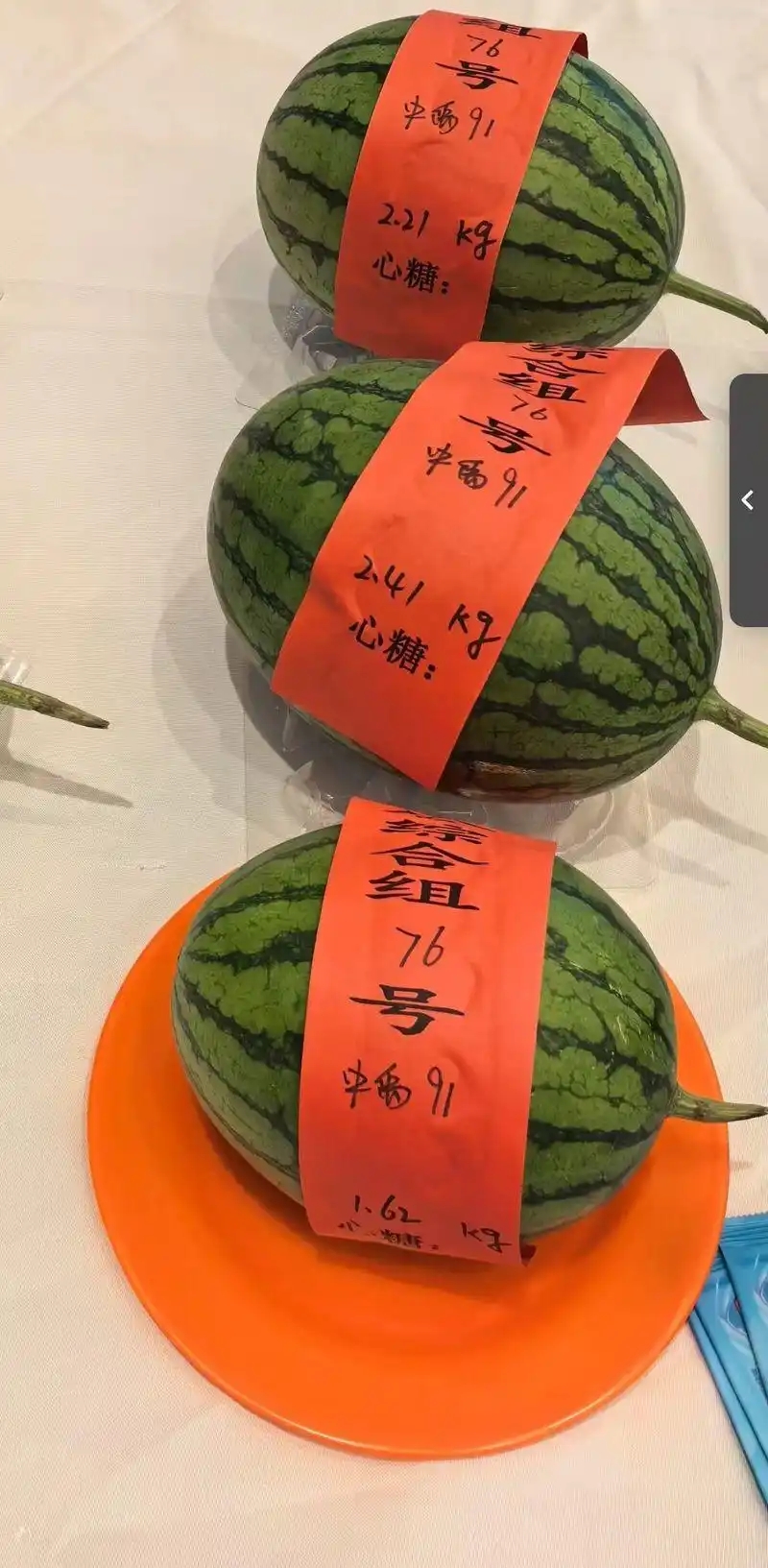 中禹91获得了小型西瓜综合组的“瓜王”称号。受访者供图.webp
