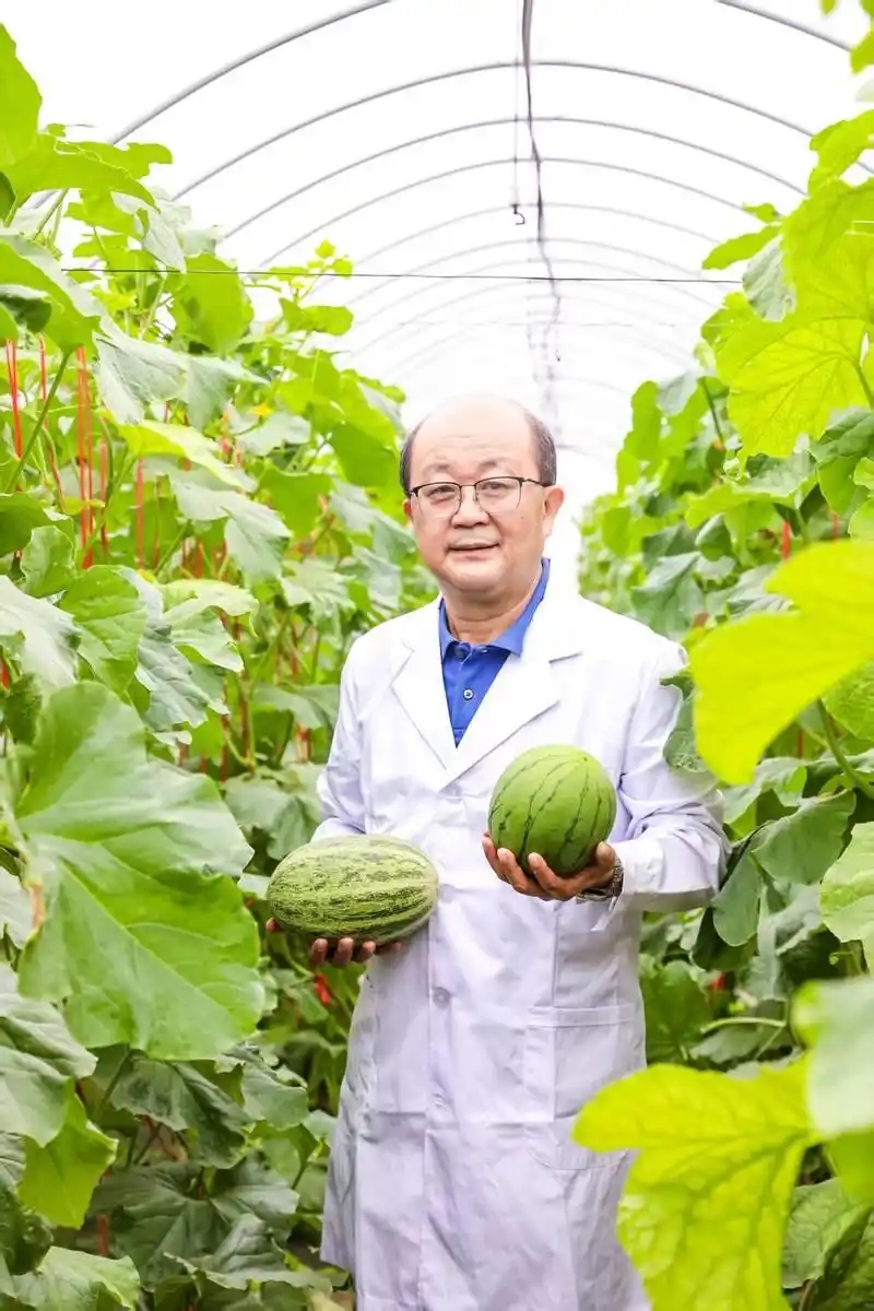 国家蔬菜工程技术研究中心主任、北京市农林科学院研究员、我国西甜瓜产业技术体系首席科学家许勇。受访者供图.webp