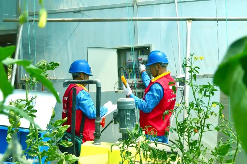 国网海东供电公司员工在双树村冷凉蔬菜产业园对温室大棚内土壤墒情监测仪、光照传感器等用电设备进行用电安全隐患排查。李永鹏摄.webp