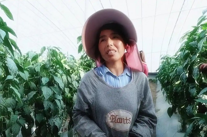 旬邑县现代设施农业蔬菜基地10.webp