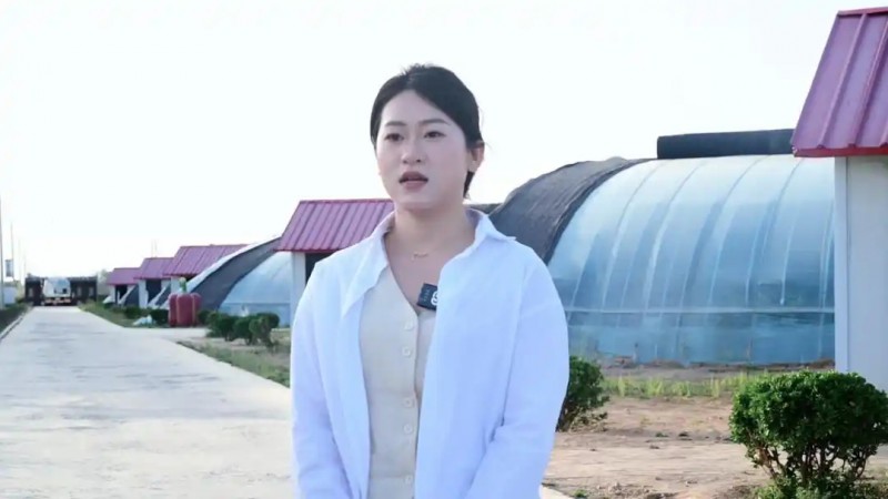 旬邑县现代设施农业蔬菜基地6.webp