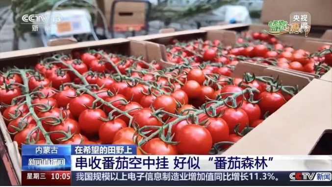 宏福央视报道3