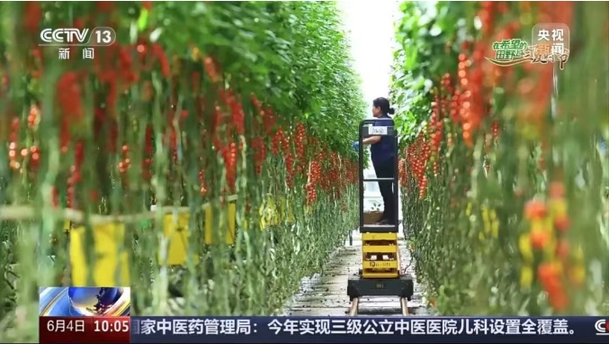 宏福央视报道4