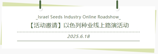 以色列活动1