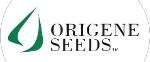 ORIGENE SEEDS(1)