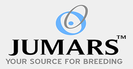 JUMARS SEEDS