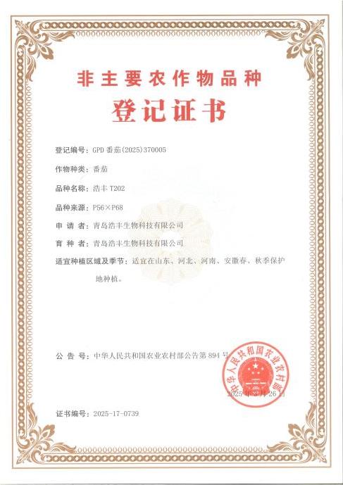 凯盛浩丰集团自主选育的番茄品种“浩丰 T202” 正式通过国家非主要农作物品种登记