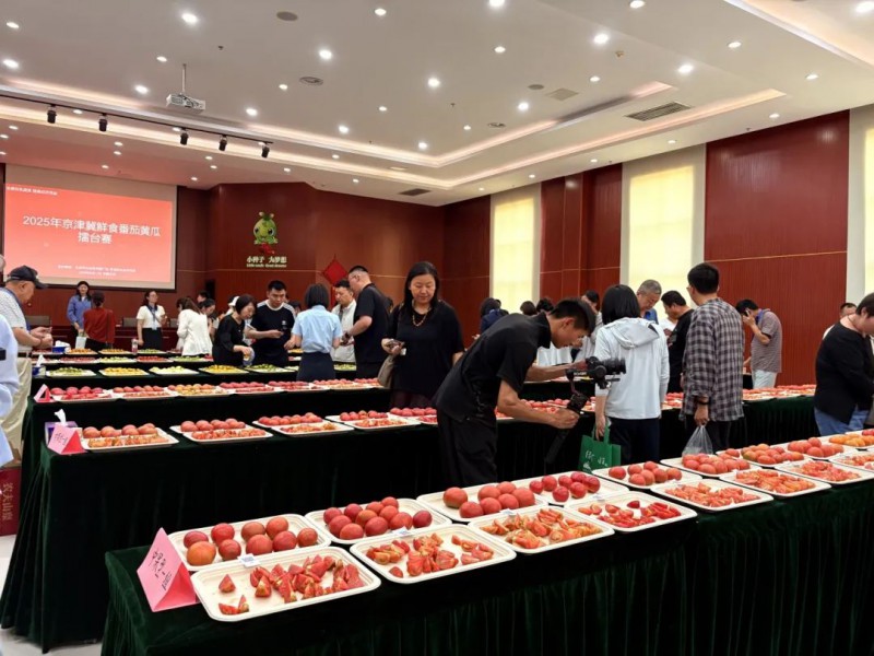 2025京津冀番茄擂台赛1