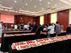 “2025京津冀鲜食番茄&黄瓜擂台赛”圆满收官