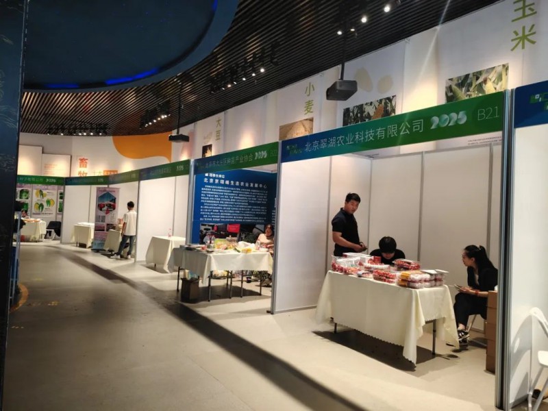 2025京津冀番茄擂台赛4