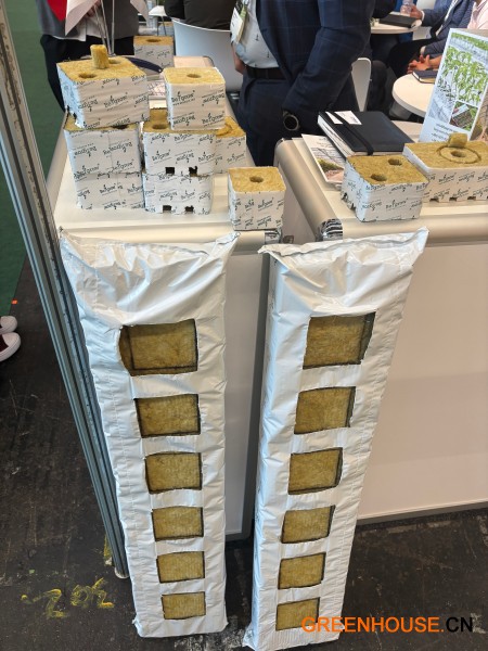 2025荷兰展展品18