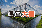 河北豐之源溫室設(shè)備制造有限公司