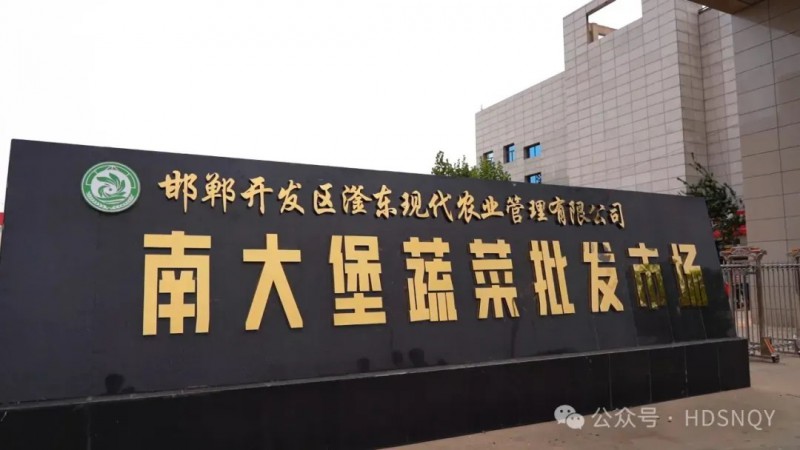 邯郸经开区蔬菜产业5