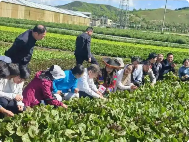 青海会议1