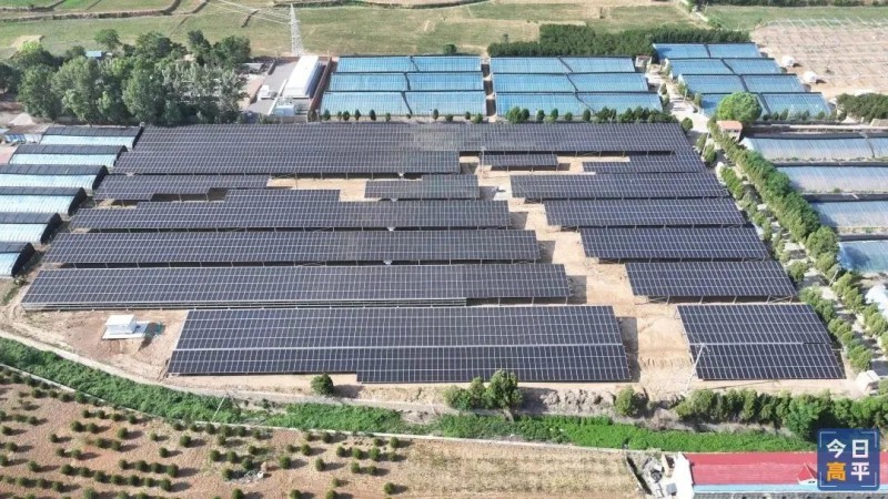 建宁乡200亩现代化智慧大棚农光互补项目1