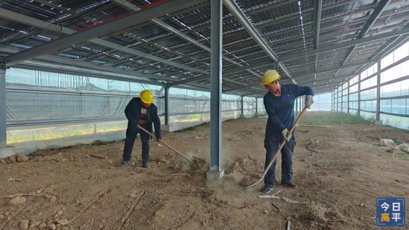 建宁乡200亩现代化智慧大棚农光互补项目5