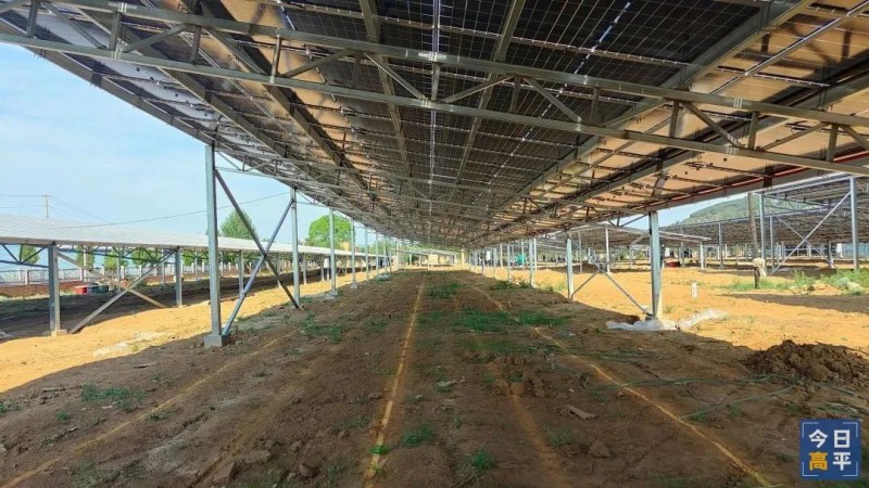 建宁乡200亩现代化智慧大棚农光互补项目6