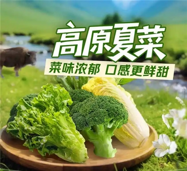 高原夏菜京东七鲜畅销1.webp