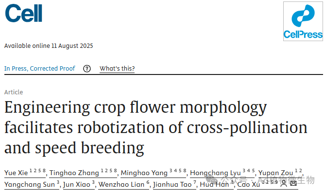 国际顶级学术期刊Cell上发表了一篇题为《Engineering crop flower morphology facilitates robotization of cross-pollination and speed breeding》的研究论文