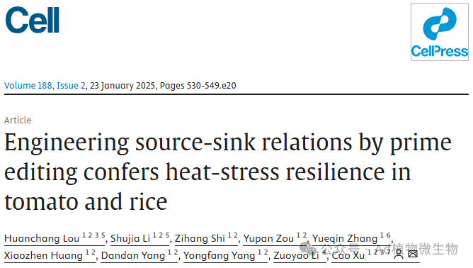 在Cell发表了一篇题为“Engineering source–sink relations by prime editing co<em></em>nfers heat-stress resilience in tomato and rice”的相关研究成果