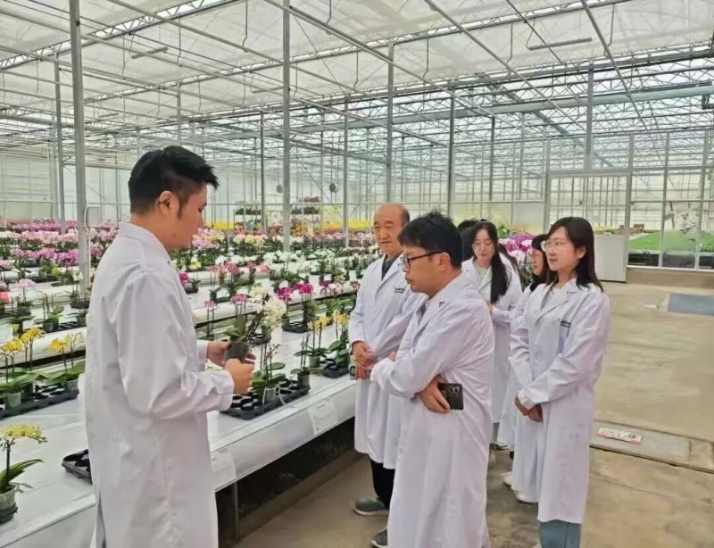 省花卉示范园区2