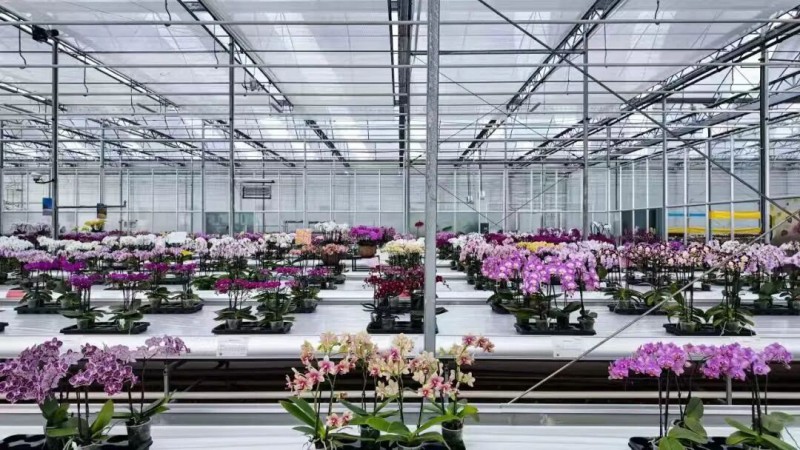 省花卉示范园区3