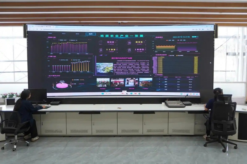 丽江现代花卉产业园4