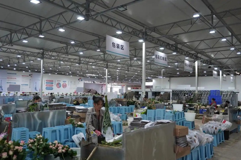 丽江现代花卉产业园3