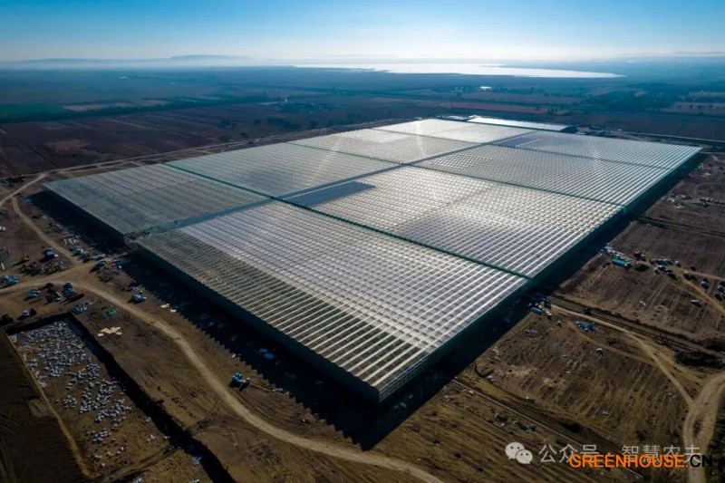 这座智能温室由北京宏福集团投资，建立了这座全国最大的单体智能温室1