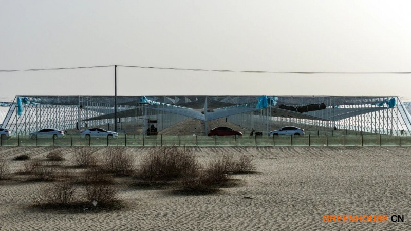 和墨洛产业园新型连栋温室项目2