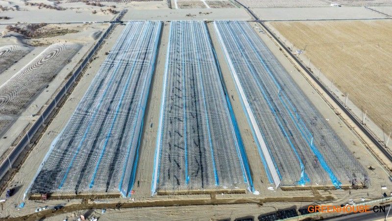 和墨洛产业园新型连栋温室项目3