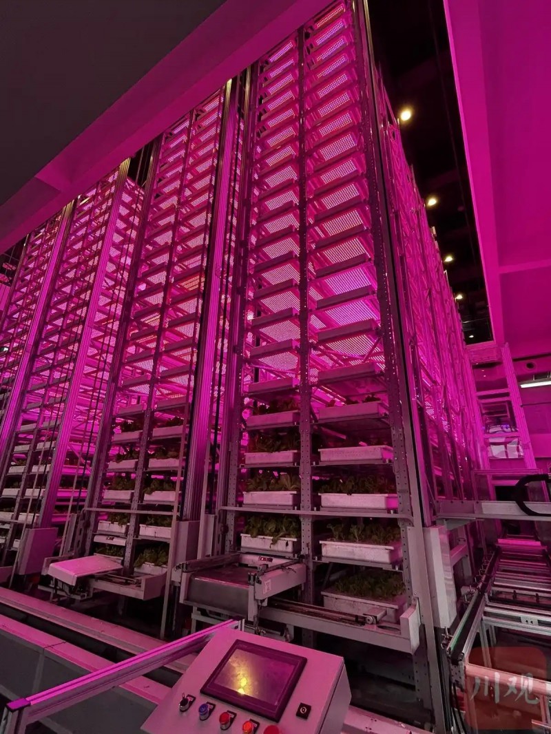 都市所植物工厂2-全球首个超高层垂直植物工厂