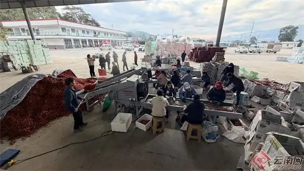 普洱市景东彝族自治县水果蔬菜集配中心4