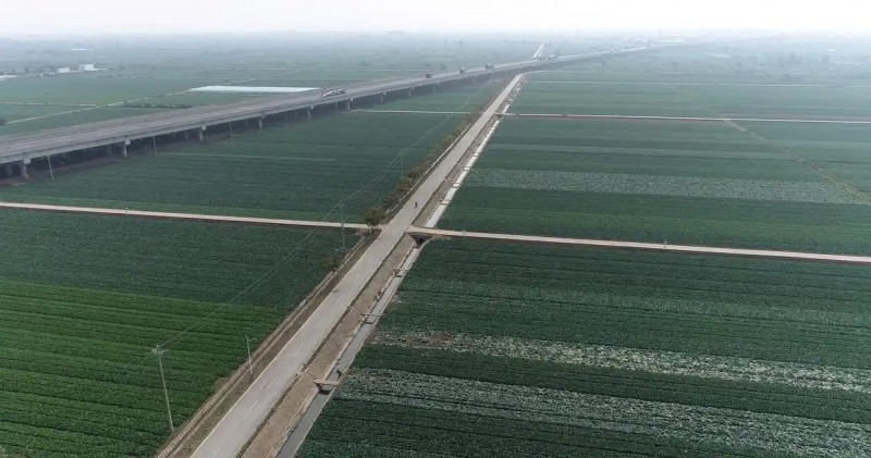 航拍视角下的潘家湾镇十里蔬菜长廊。新华社记者潘志伟 摄