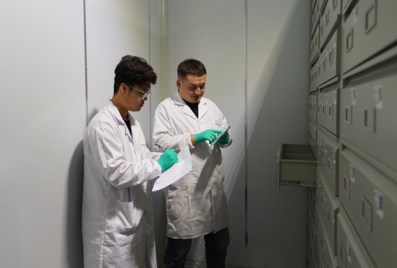 哈密瓜鲜果产业链平台服务中心种质研发中心工作人员