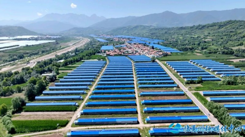 临夏县大力发展蔬菜产业见闻