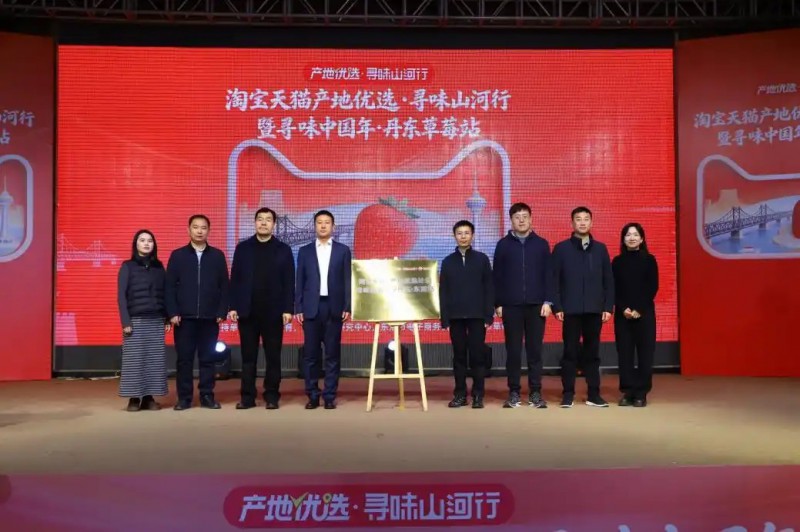 丹东草莓启动仪式现场（央广网发 李伟 摄）