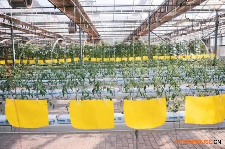 防虫有&ldquo;秘密武器&rdquo; 除虫有&ldquo;绿色绝招&rdquo;1