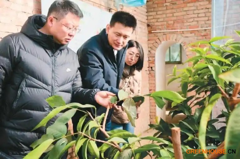 防虫有&ldquo;秘密武器&rdquo; 除虫有&ldquo;绿色绝招&rdquo;2