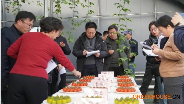 专家盲评+闭门研讨3